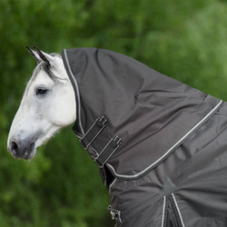 Halsteil Horsenjoy 100g