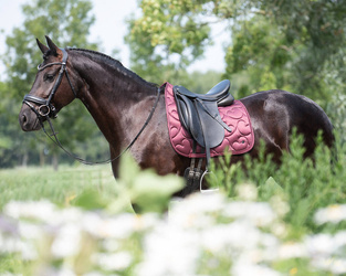 Horze Terrazzo Vielseitigkeitsschabracke