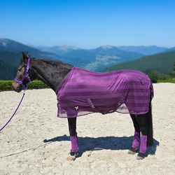 Fliegendecke York Lyra