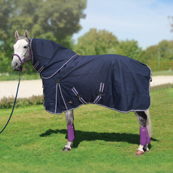 Horsenjoy  Aristo Combo Regendecke