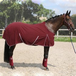 York Torrone Stalldecke